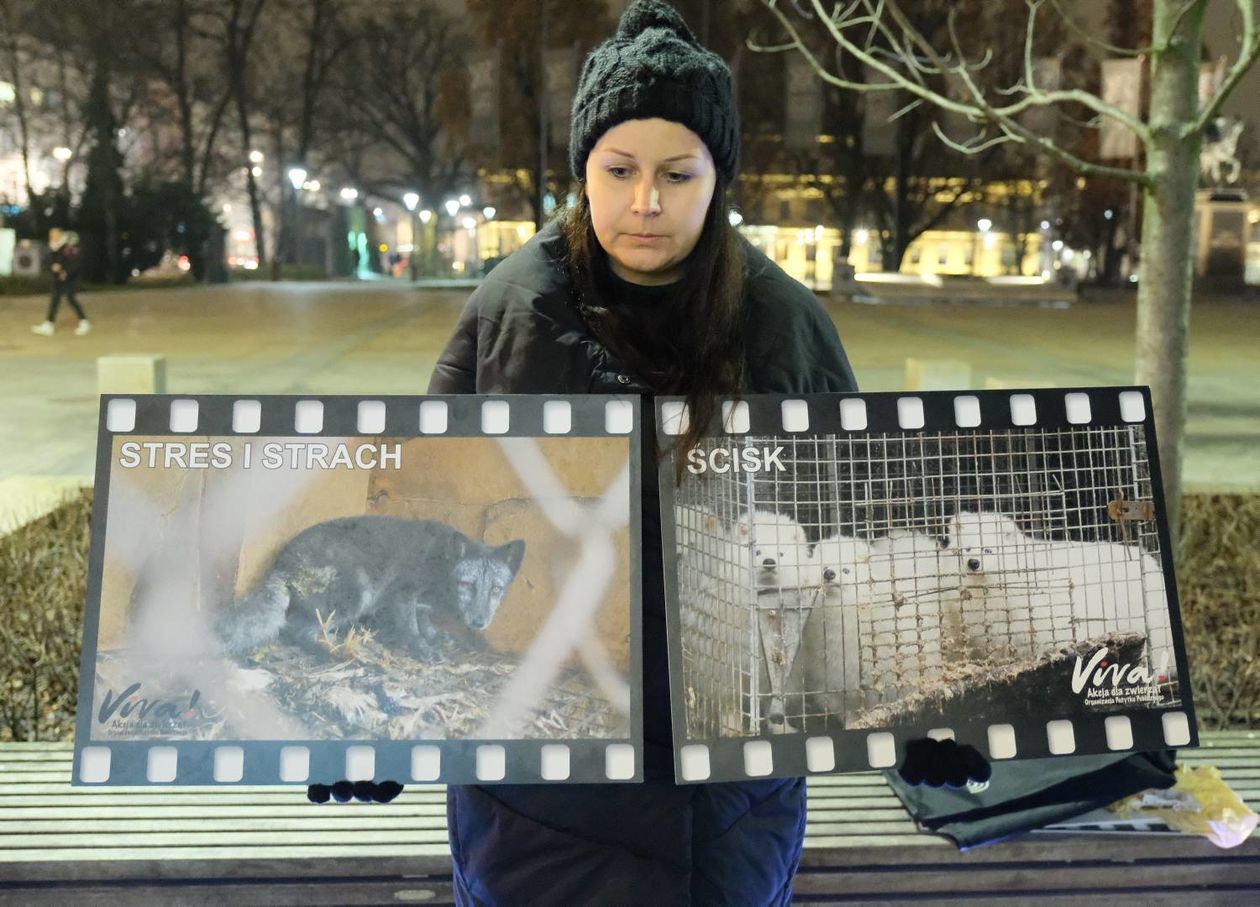  Protest przeciwko ubojowi zwierzat futerkowych (zdjęcie 1) - Autor: Maciej Kaczanowski