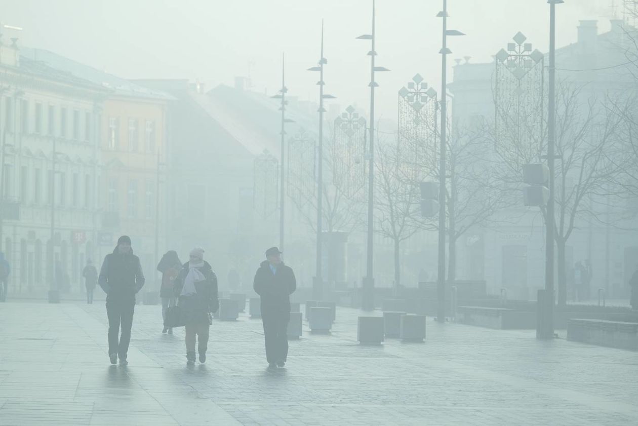  Lublin we mgle (zdjęcie 1) - Autor: Maciej Kaczanowski