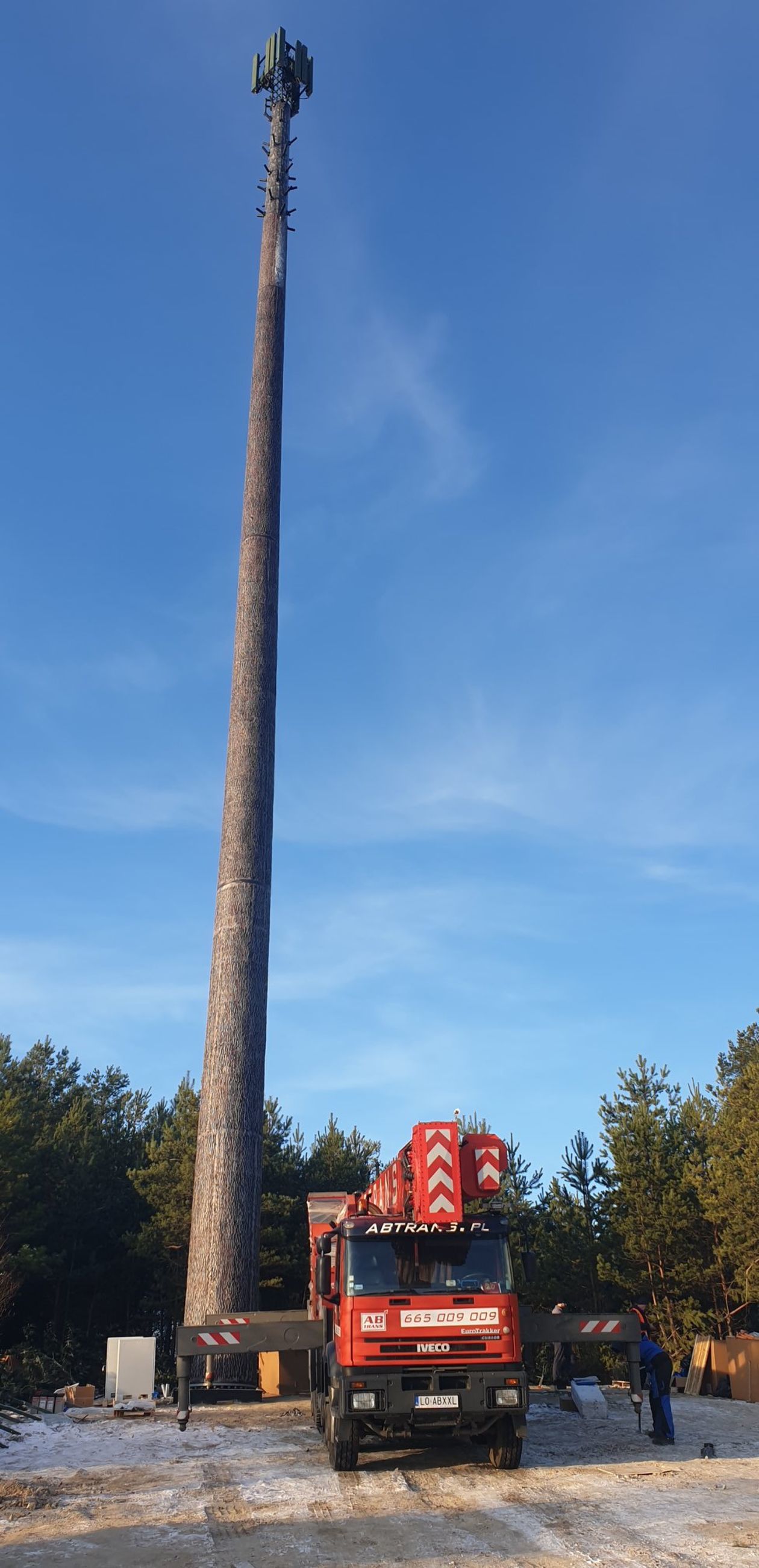  Maszt telefonii komórkowej wygląda jak wielkie drzewo (zdjęcie 1) - Autor: AB Trans