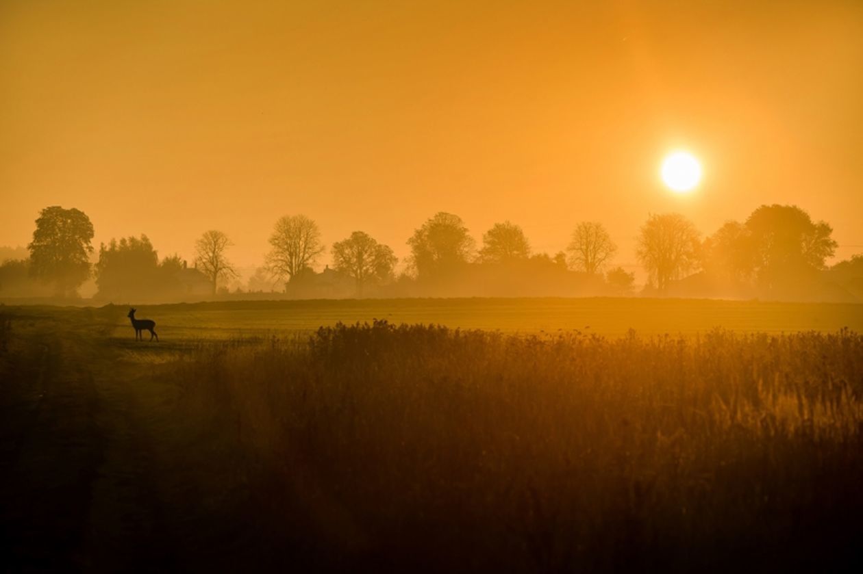  <p>KATEGORIA:&nbsp;<strong>Fotografia artystyczna&nbsp;</strong></p>
<p>Wyr&oacute;żnienie honorowe:&nbsp;<strong>Artur Georgiew</strong>&nbsp;&ndash; Spotkanie w plenerze &ndash; zach&oacute;d słońca na polach w Żabiej Woli</p>