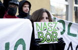 Protest przed siedzibą Polskiego Związku Łowieckiego  (zdjęcie 4)