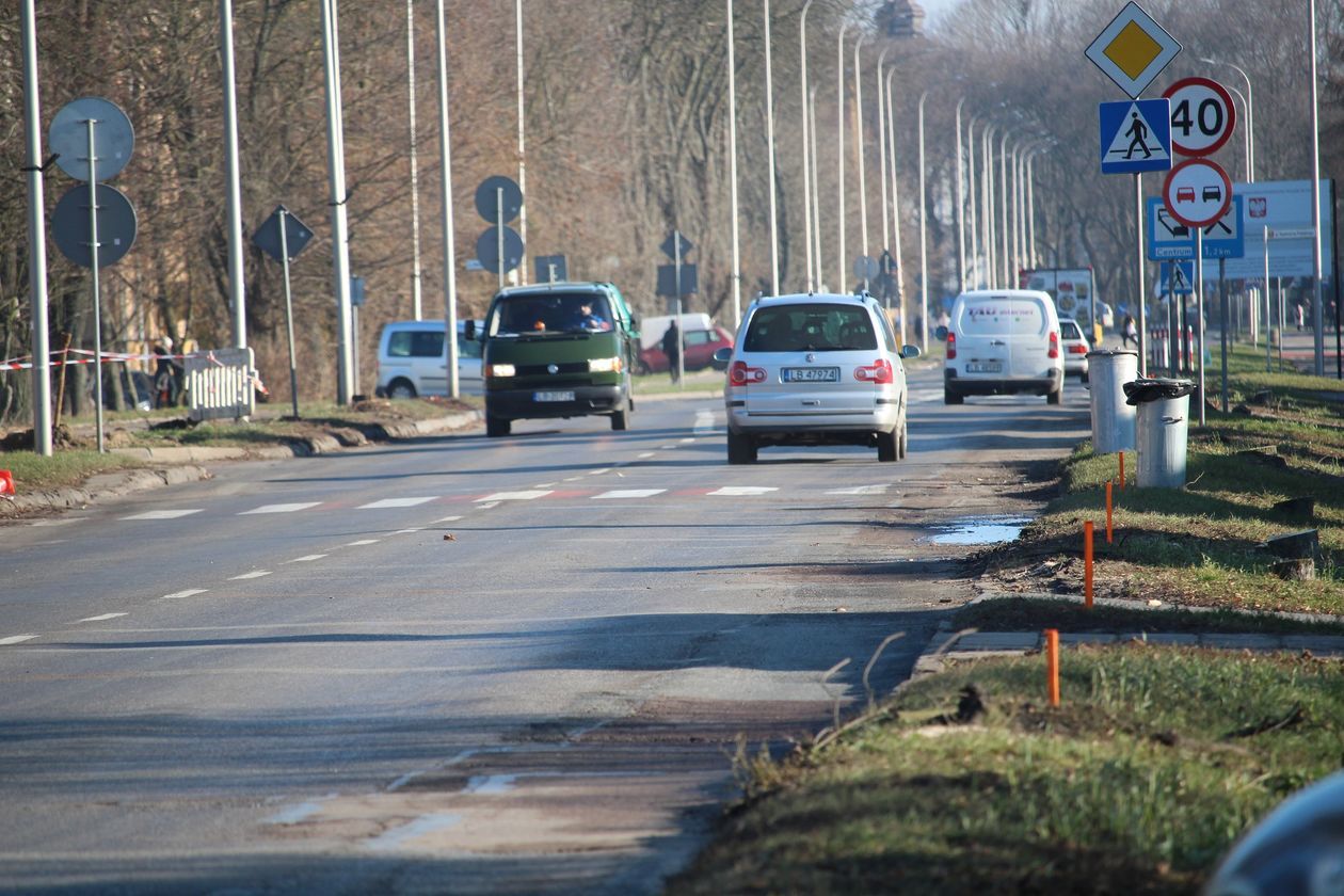  Wycięte drzewa przy ul. Warszawskiej w Białej Podlaskiej (zdjęcie 1) - Autor: Ewelina Burda