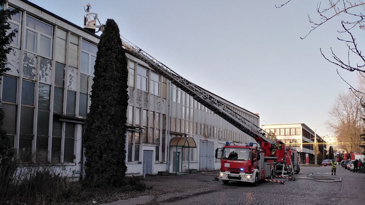  Pożar hali przemysłowej przy ul. Frezerów 9 w Lublinie (zdjęcie 1) - Autor: Dominik Smaga