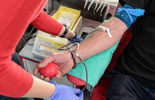 Niedzielne morsowanie połączone z akcją oddawania krwi (zdjęcie 5)