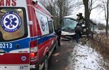 Wypadek autokaru w miejscowości Olszyny (Dolny Śląsk) (zdjęcie 2)