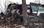 Wypadek autokaru w miejscowości Olszyny (Dolny Śląsk) (zdjęcie 4)