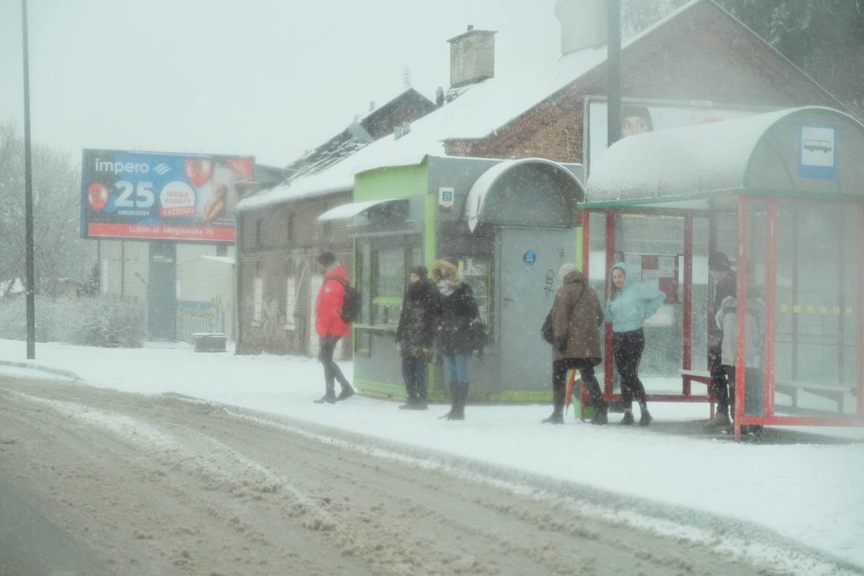  Opady śniegu w Lublinie i regionie (zdjęcie 1) - Autor: Maciej Kaczanowski