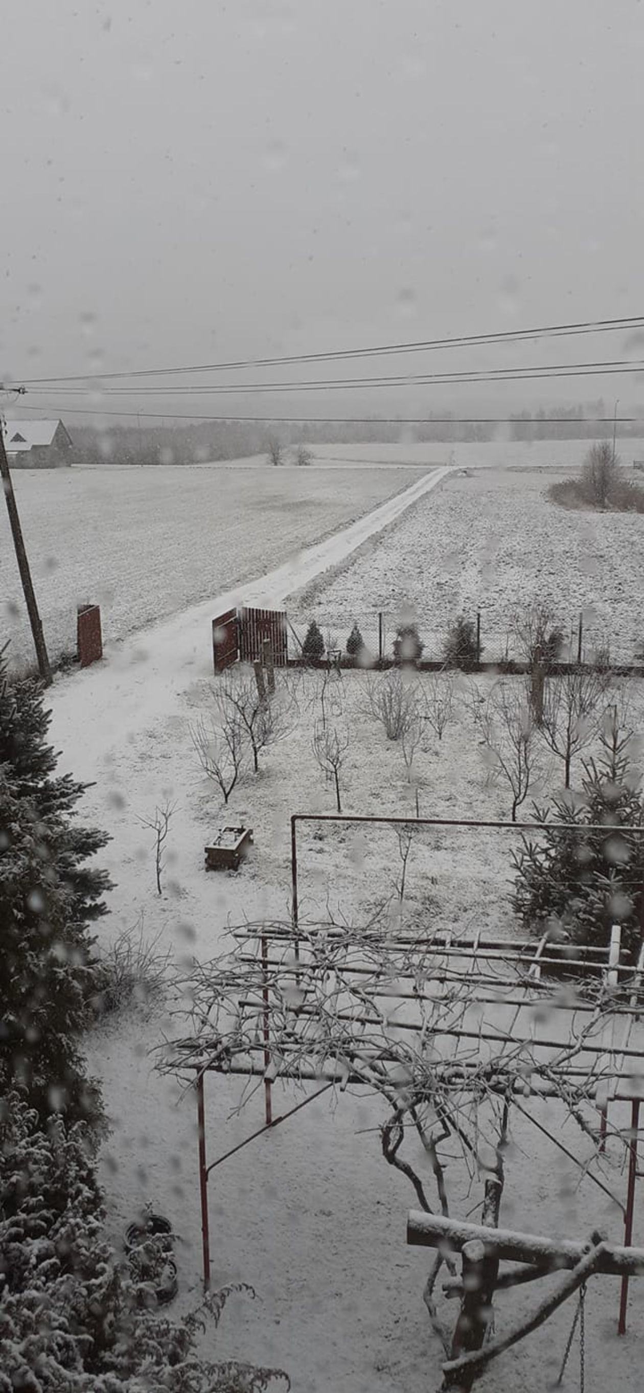 Opady śniegu w Lublinie i regionie