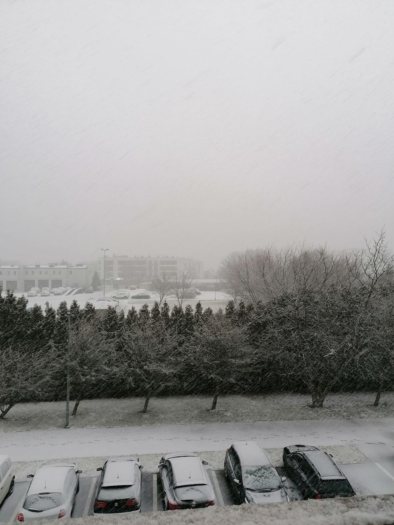 Opady śniegu w Lublinie i regionie