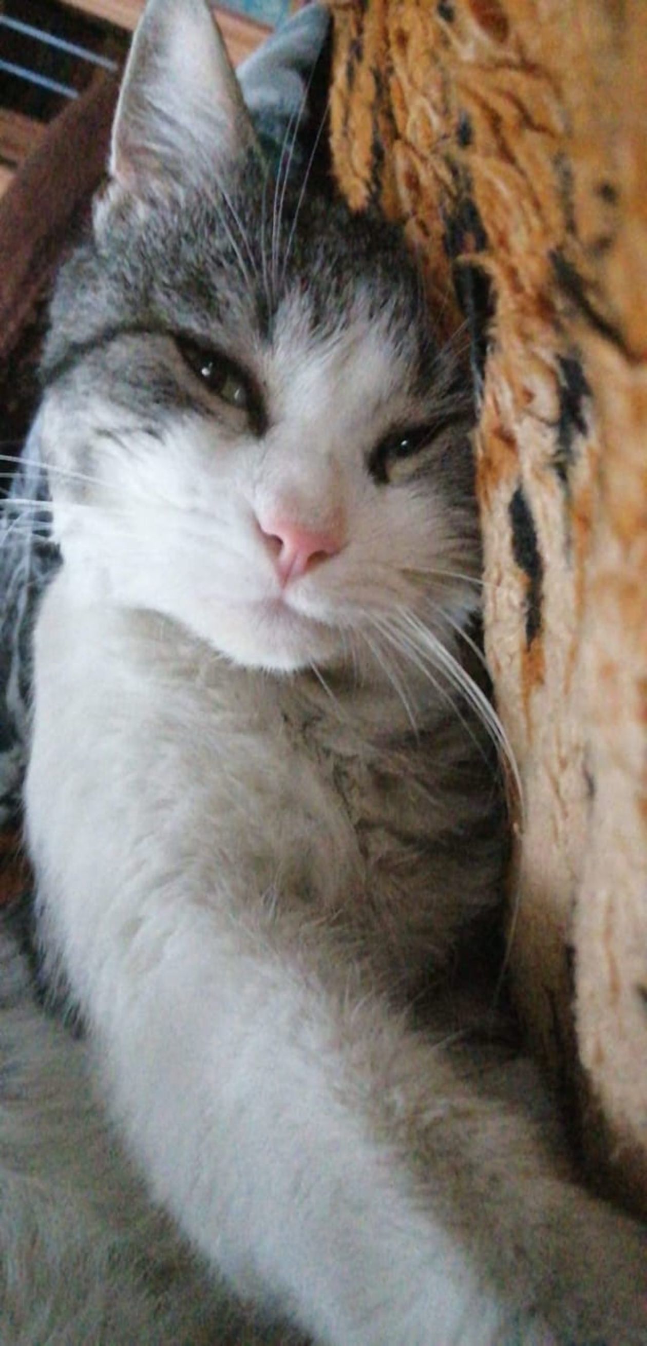  <p>Benek</p>