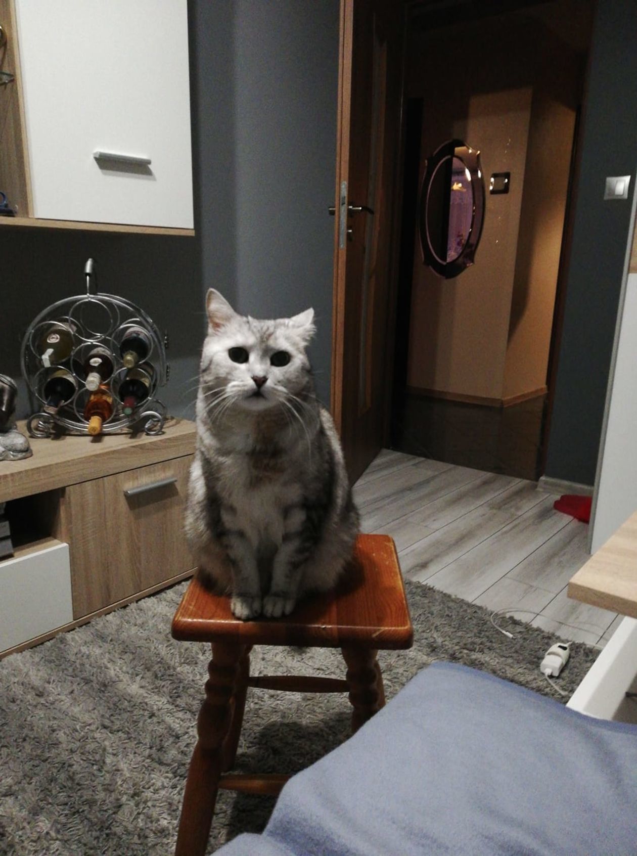  <p>Filemonek</p>