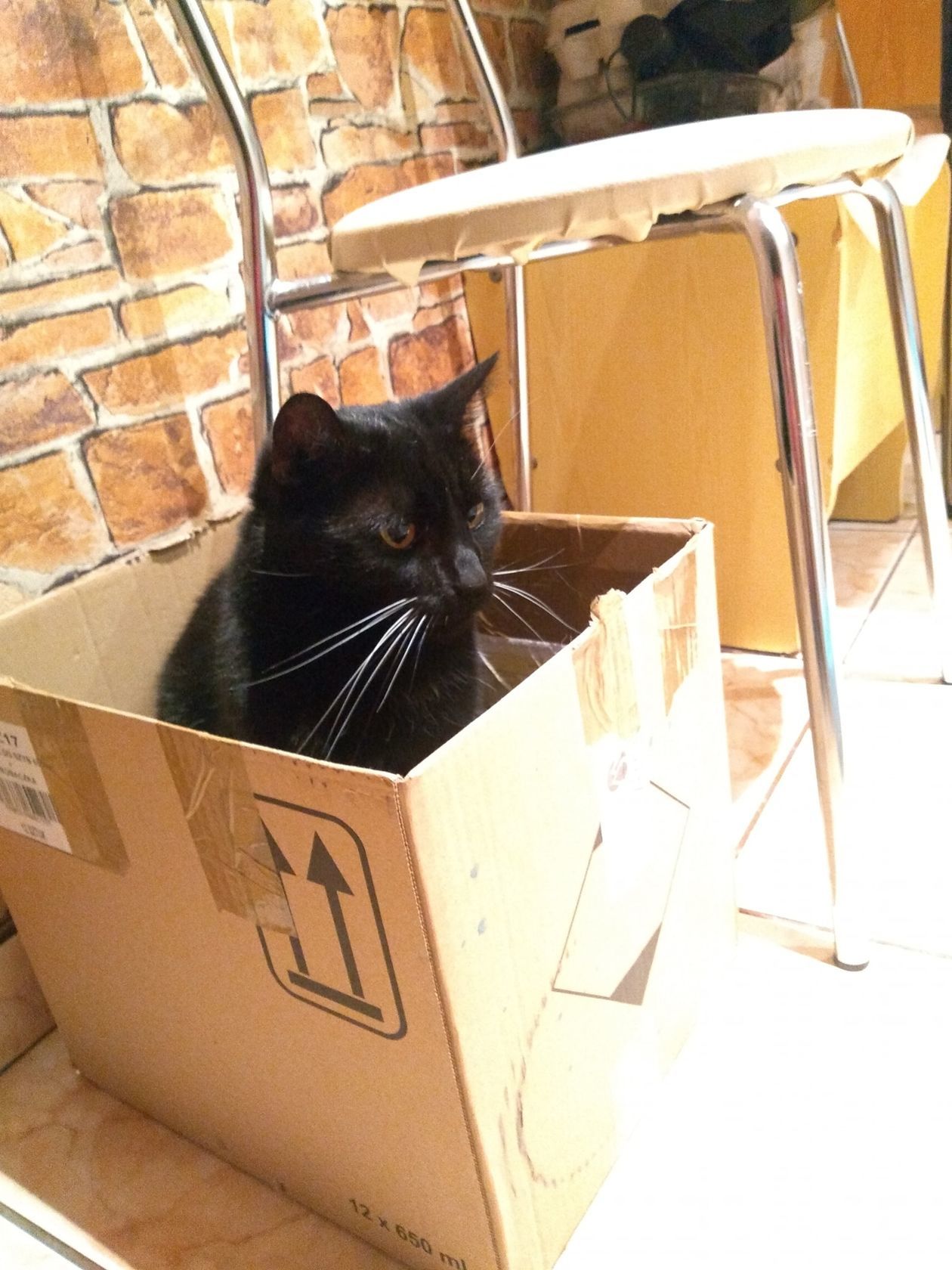  <p>Filemon</p>