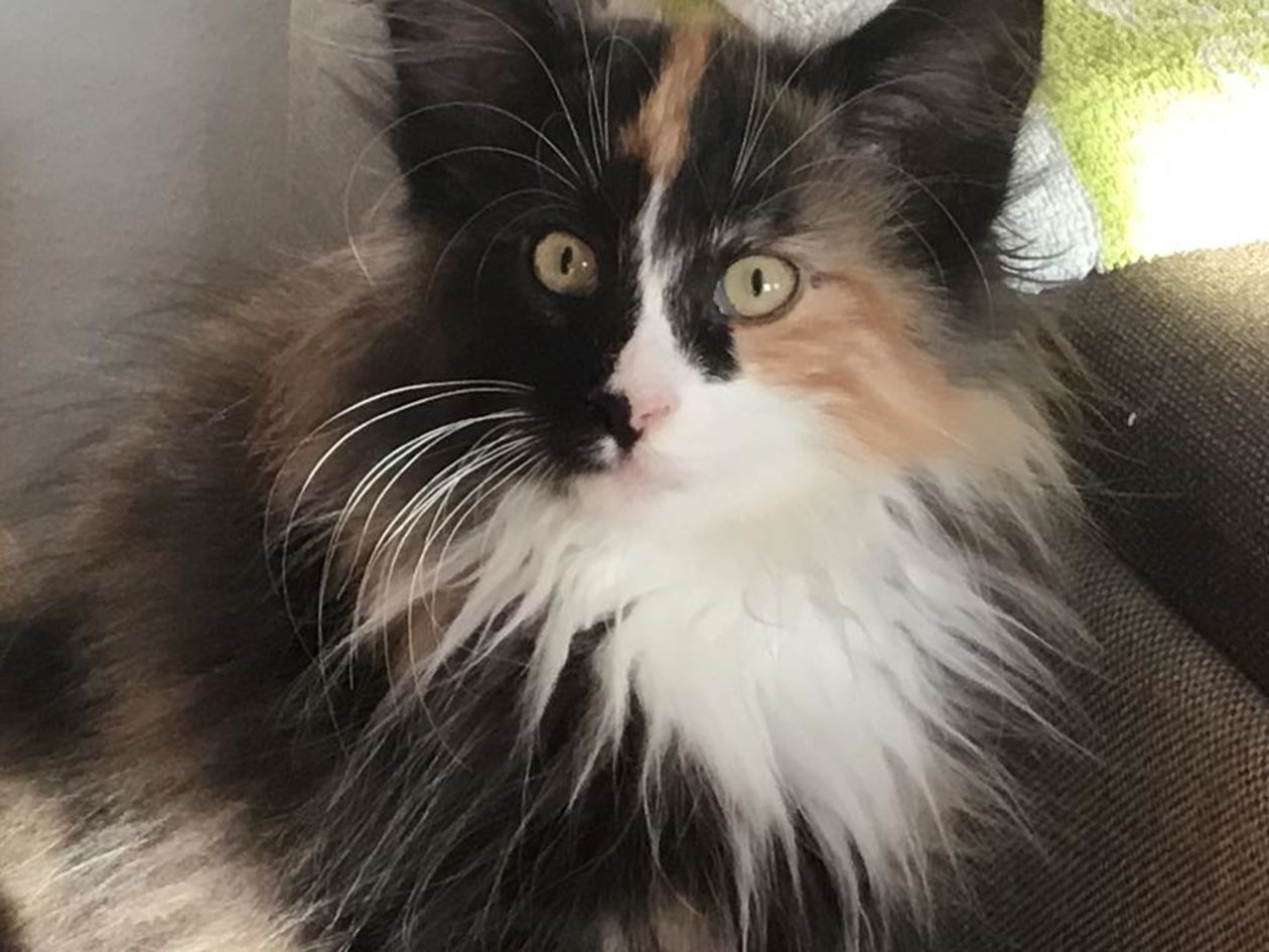  <p>Loretta</p>