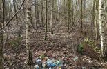 Sprzątali las w okolicach Lubartowa (zdjęcie 5)