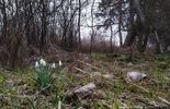 Sprzątali las w okolicach Lubartowa (zdjęcie 4)