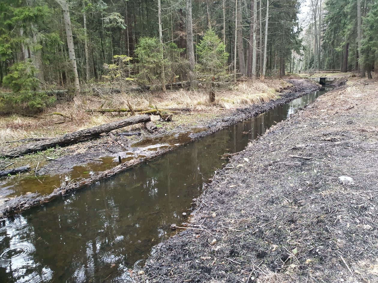  <p class="Normal">Kanał doprowadzający wodę to Staw&oacute;w Echo tzw. donośnik. W&nbsp;zeszłym roku był generalnie wyremontowany - oczyszczony i&nbsp;wyłożony faszyną</p>