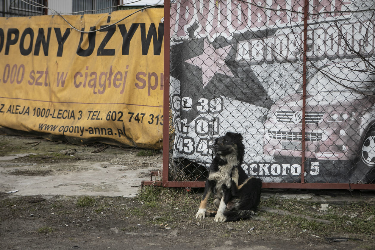  W Dorohusku dzień przed zamknięciem granic (zdjęcie 9) - Autor: Jacek Szydłowski