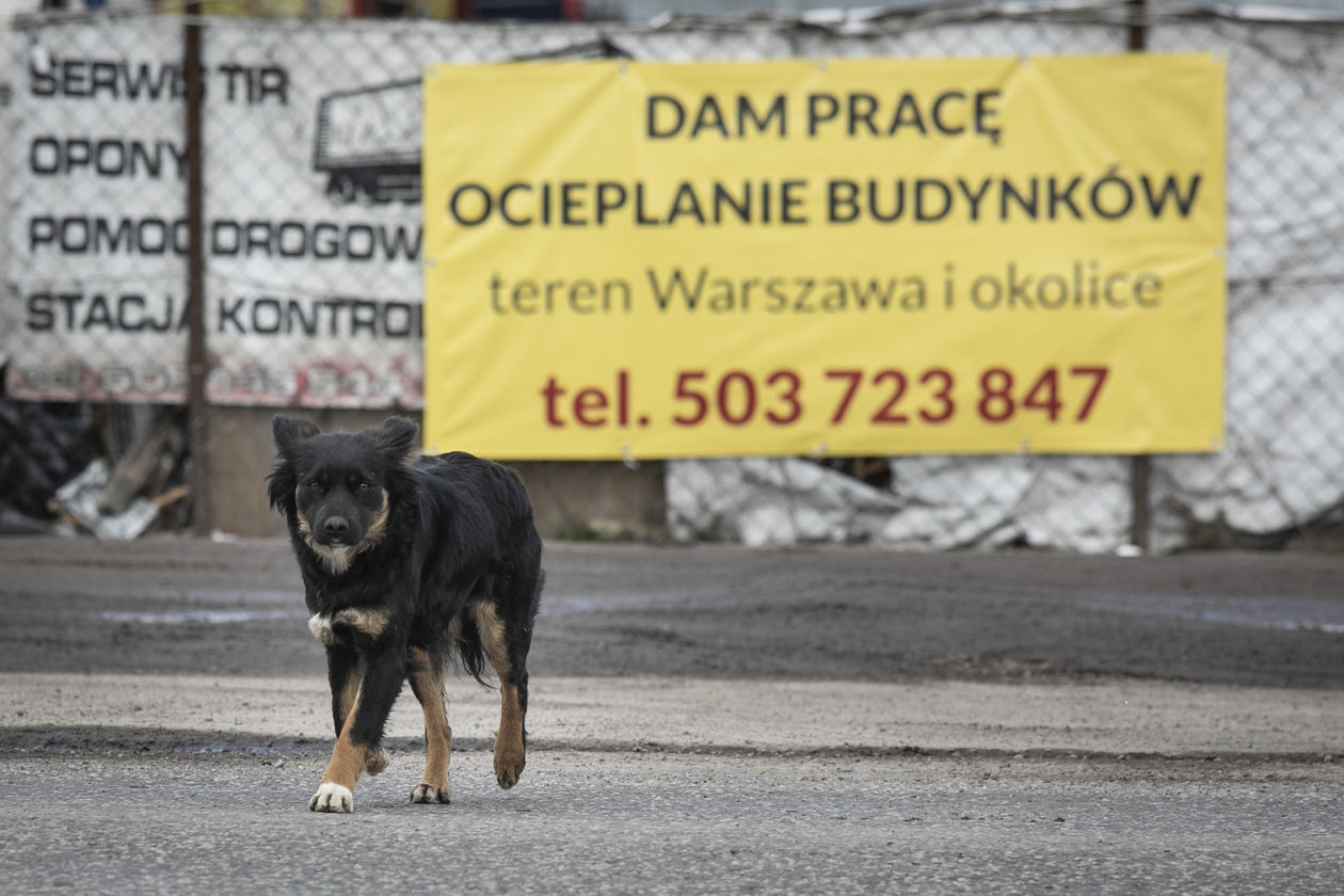  W Dorohusku dzień przed zamknięciem granic (zdjęcie 5) - Autor: Jacek Szydłowski