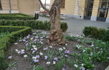 Wiosna w Lublinie (zdjęcie 3)