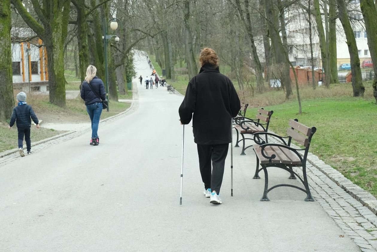  Ulica Węglinek i Ogród Saski popularne wśród spacerowiczów (zdjęcie 1) - Autor: Maciej Kaczanowski