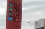 Ceny na stacjach paliw (zdjęcie 5)