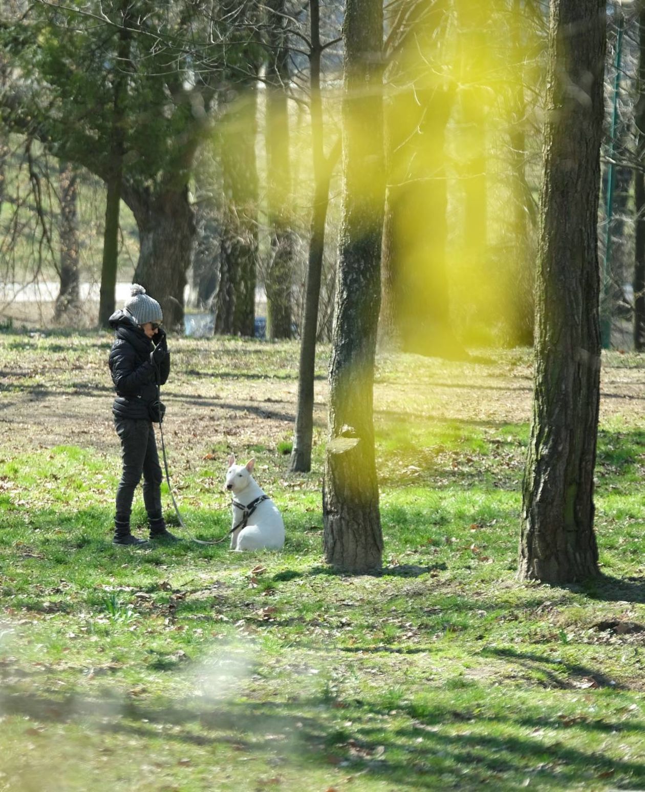  Ogród Saski, parki Jana Pawła II i UMCS w Lublinie (zdjęcie 1) - Autor: Maciej Kaczanowski