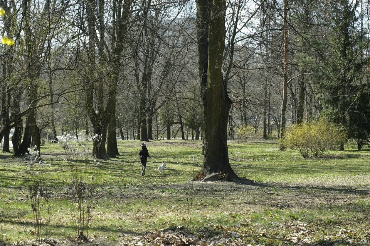  Ogród Saski, parki Jana Pawła II i UMCS w Lublinie (zdjęcie 1) - Autor: Maciej Kaczanowski