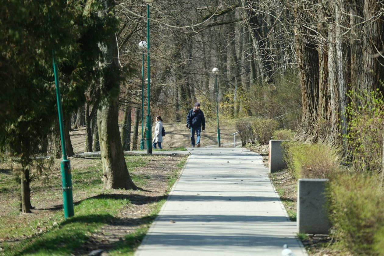  Ogród Saski, parki Jana Pawła II i UMCS w Lublinie (zdjęcie 1) - Autor: Maciej Kaczanowski