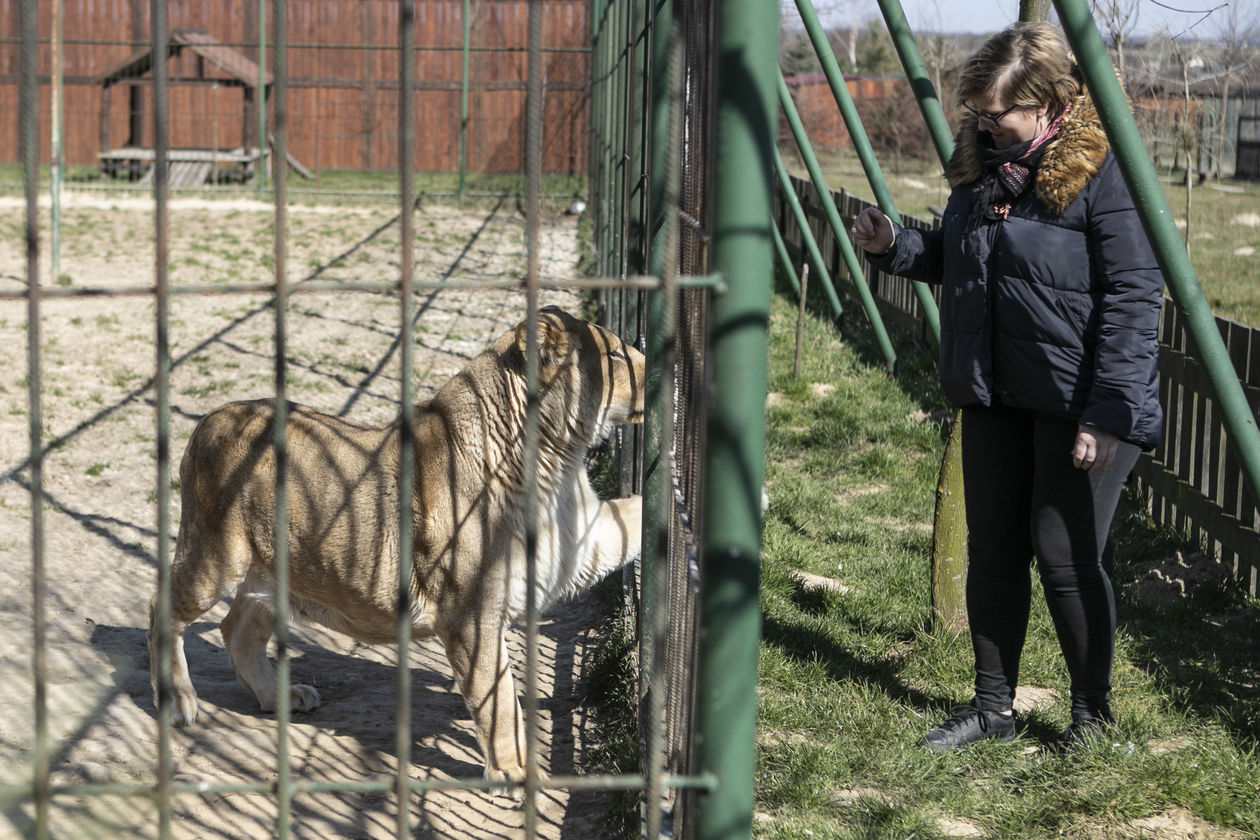  ZOO w Wojciechowie (zdjęcie 1) - Autor: Jacek Szydłowski