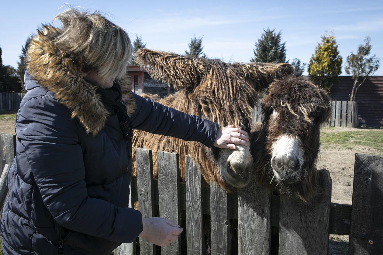  ZOO w Wojciechowie (zdjęcie 1) - Autor: Jacek Szydłowski