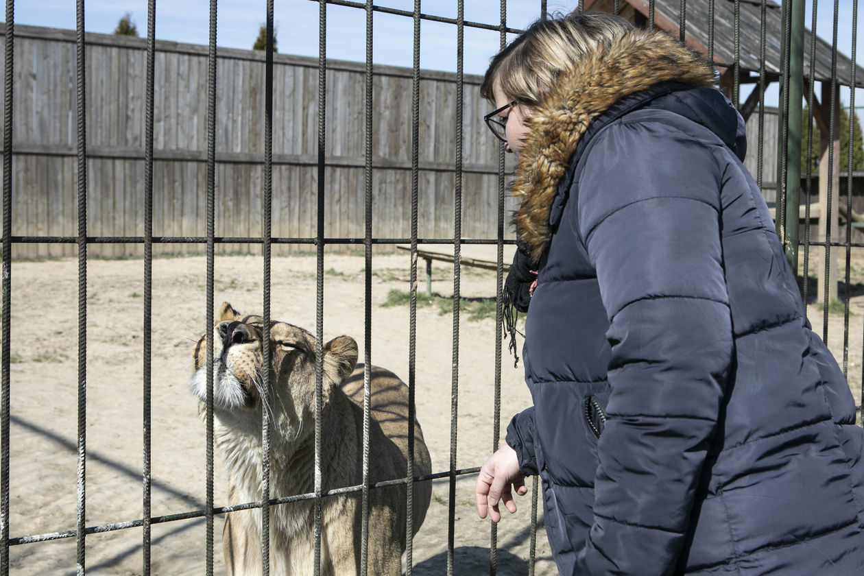  ZOO w Wojciechowie (zdjęcie 1) - Autor: Jacek Szydłowski