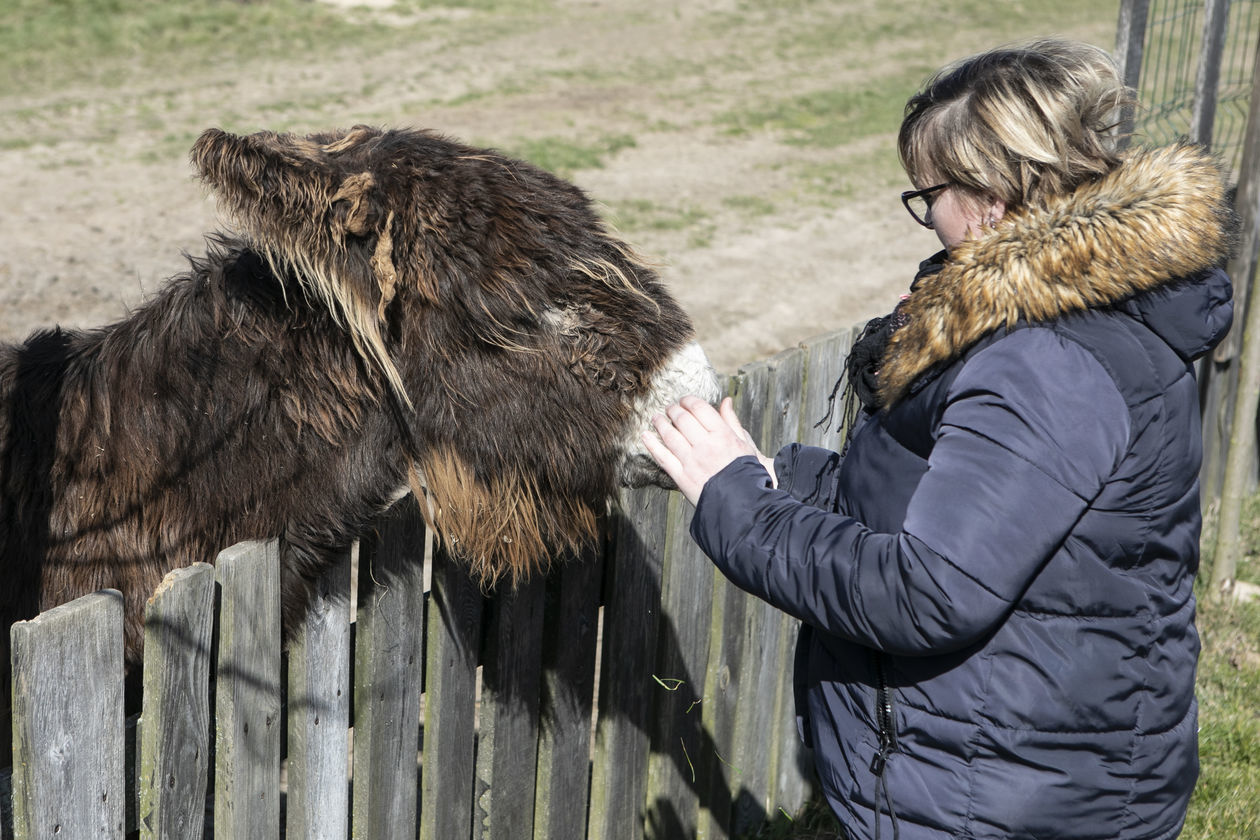  ZOO w Wojciechowie (zdjęcie 1) - Autor: Jacek Szydłowski