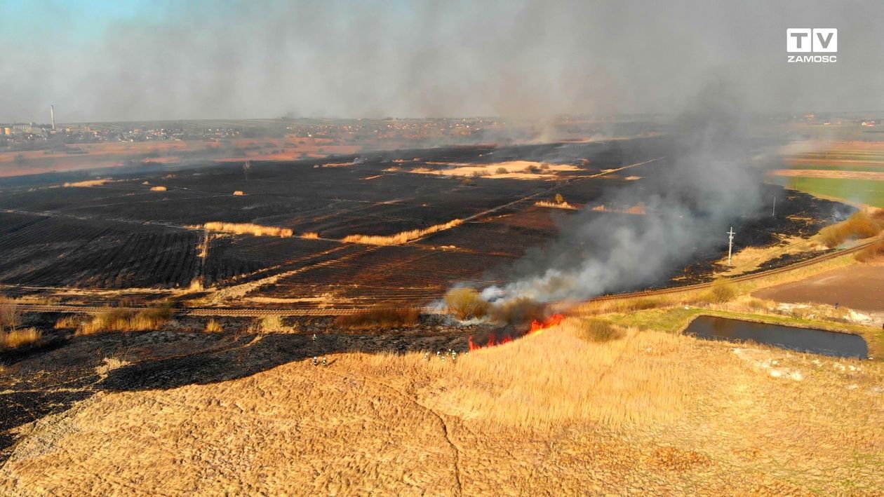  Pożar traw (zdjęcie 1) - Autor: Telewizja Zamość