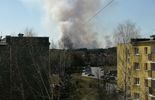Pożar w rezerwacie przyrody Sobowice (zdjęcie 2)
