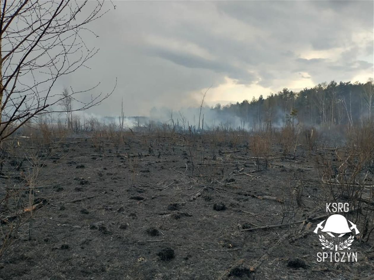 Pożar lasu w Piasecznie  (zdjęcie 1) - Autor: OSP Spiczyn