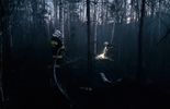Pożar lasu w Piasecznie  (zdjęcie 5)