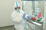 Zakład Wirusologii z Laboratorium SARS UM w Lublinie już bada próbki na obecność CV 19 (zdjęcie 2)