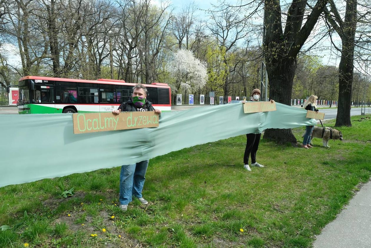 Protest przeciwko wycince drzew przy al. Racławickich (zdjęcie 1) - Autor: Maciej Kaczanowski
