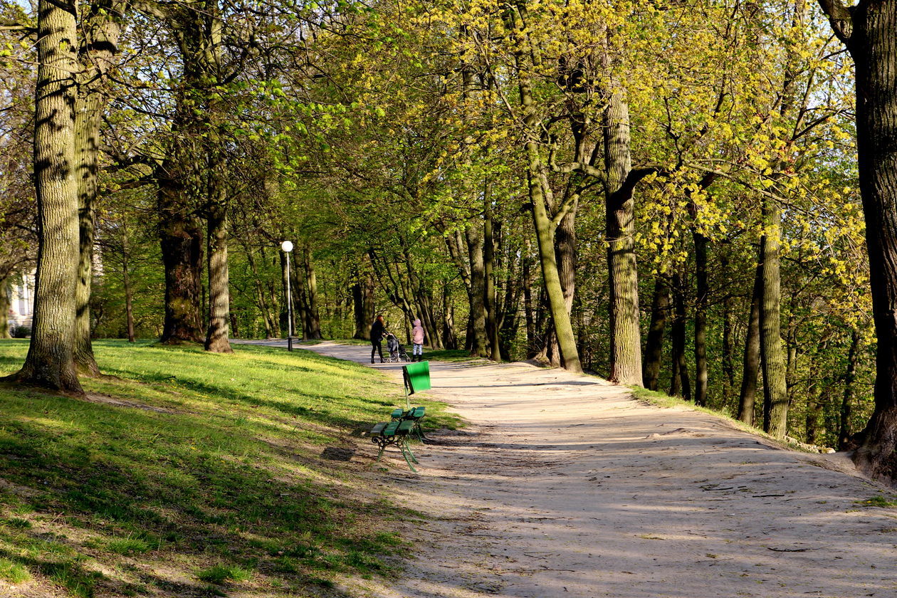  Spacerowicze wracają do puławskich parków (zdjęcie 1) - Autor: Radosław Szczęch