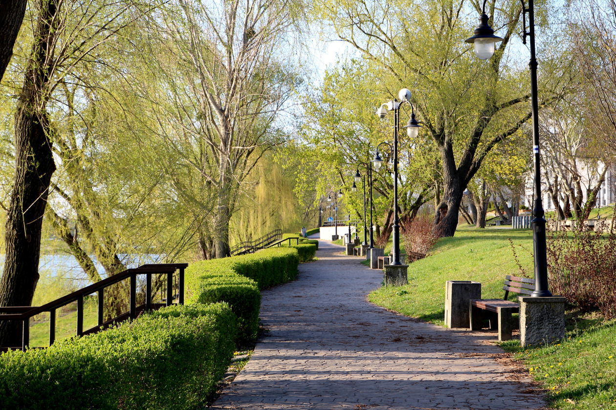  Spacerowicze wracają do puławskich parków (zdjęcie 1) - Autor: Radosław Szczęch