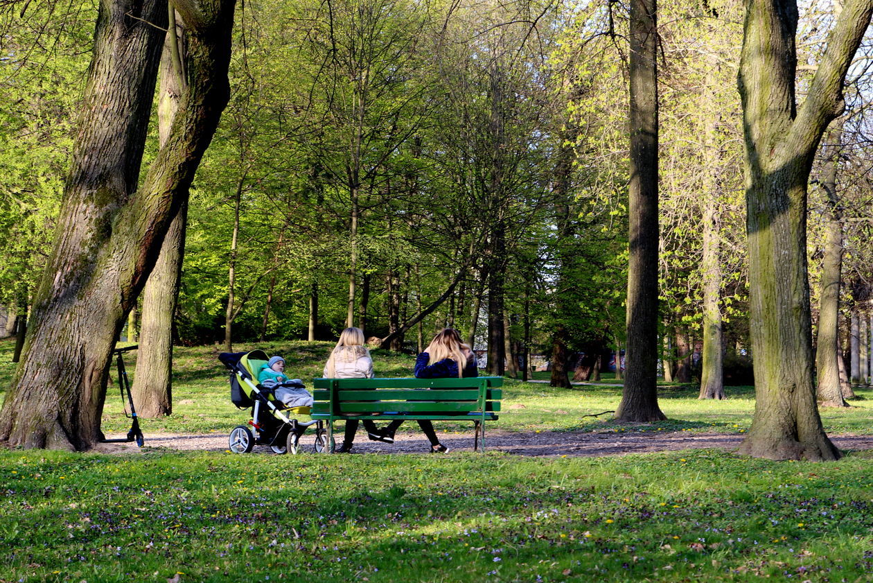  Spacerowicze wracają do puławskich parków (zdjęcie 1) - Autor: Radosław Szczęch