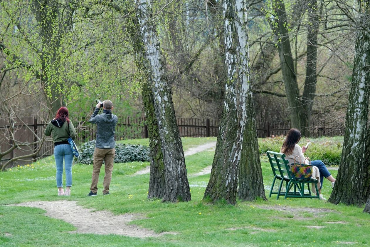  Ogród Botaniczny UMCS od soboty otwarty dla zwiedzających (zdjęcie 1) - Autor: Maciej Kaczanowski