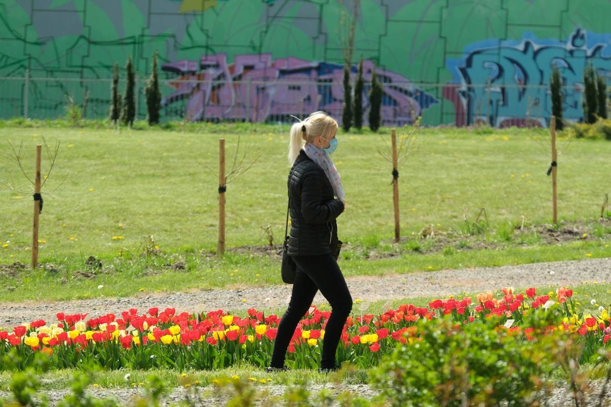  Ogród Botaniczny UMCS od soboty otwarty dla zwiedzających (zdjęcie 1) - Autor: Maciej Kaczanowski