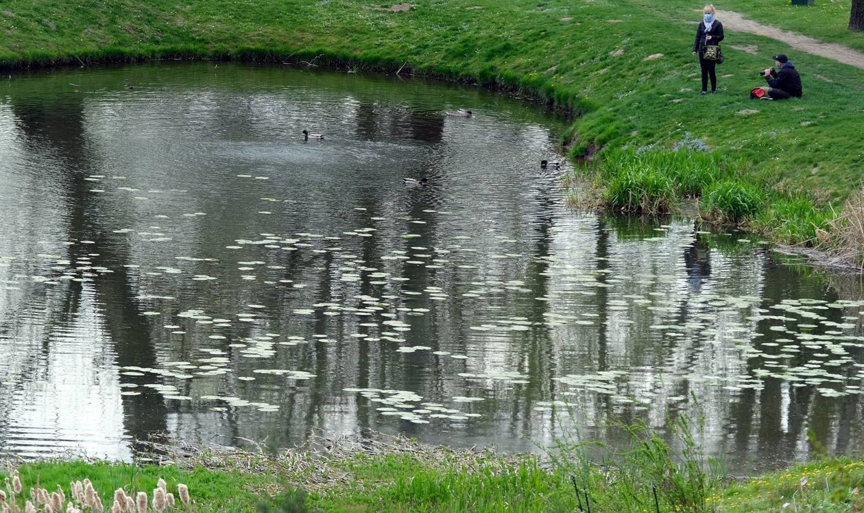  Ogród Botaniczny UMCS od soboty otwarty dla zwiedzających (zdjęcie 1) - Autor: Maciej Kaczanowski