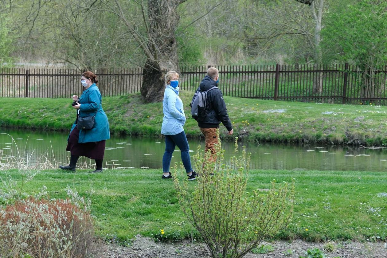  Ogród Botaniczny UMCS od soboty otwarty dla zwiedzających (zdjęcie 1) - Autor: Maciej Kaczanowski