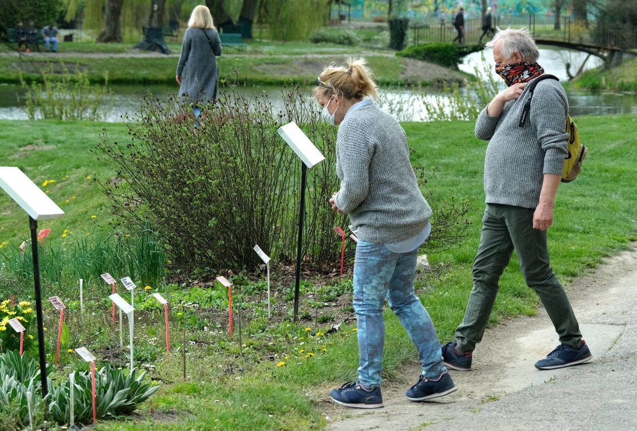  Ogród Botaniczny UMCS od soboty otwarty dla zwiedzających (zdjęcie 1) - Autor: Maciej Kaczanowski