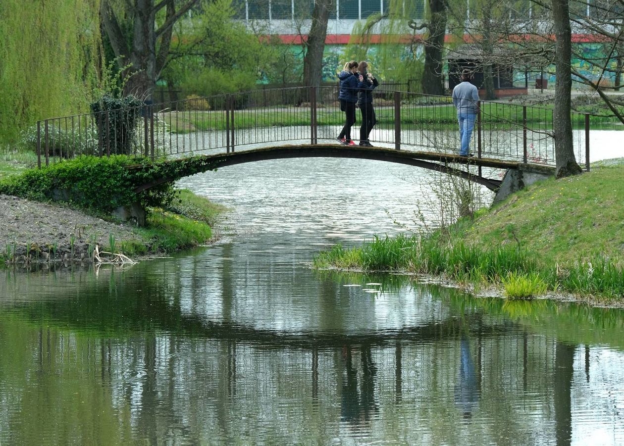  Ogród Botaniczny UMCS od soboty otwarty dla zwiedzających (zdjęcie 1) - Autor: Maciej Kaczanowski