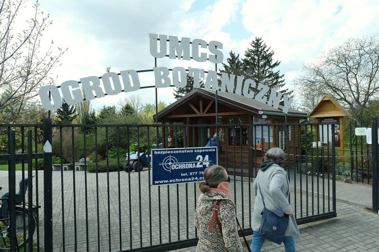  Ogród Botaniczny UMCS od soboty otwarty dla zwiedzających (zdjęcie 1) - Autor: Maciej Kaczanowski
