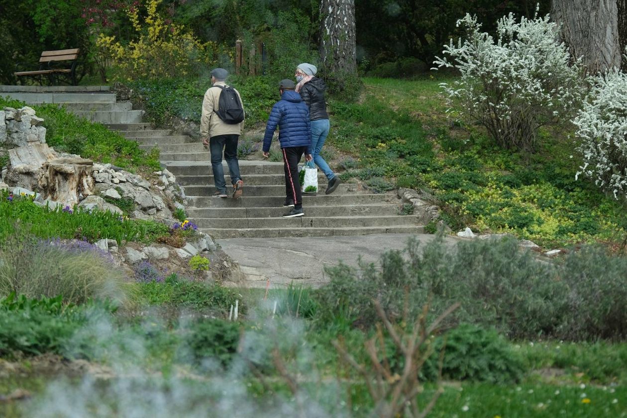  Ogród Botaniczny UMCS od soboty otwarty dla zwiedzających (zdjęcie 1) - Autor: Maciej Kaczanowski