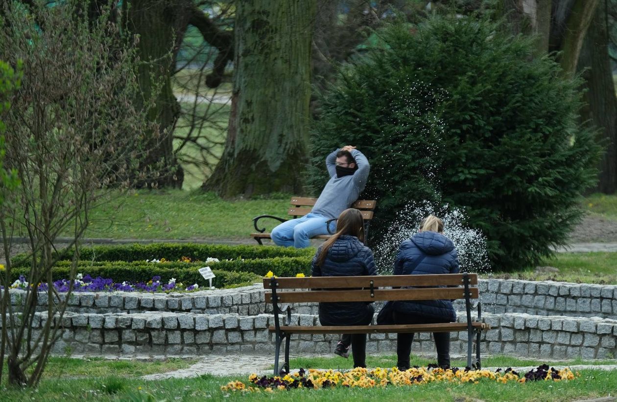  Ogród Botaniczny UMCS od soboty otwarty dla zwiedzających (zdjęcie 1) - Autor: Maciej Kaczanowski